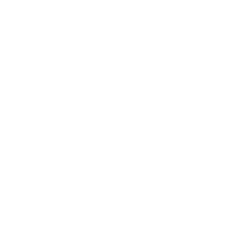 Rama Estudiantil IEEE – Universidad Distrital Francisco José de Caldas, Facultad Tecnológica